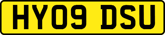 HY09DSU