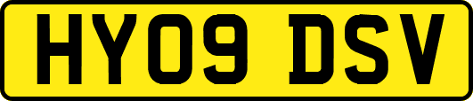 HY09DSV