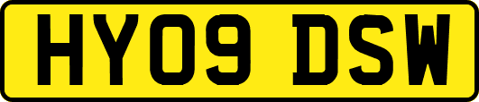 HY09DSW