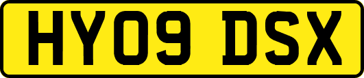 HY09DSX
