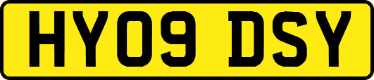 HY09DSY