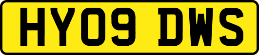 HY09DWS