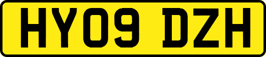 HY09DZH