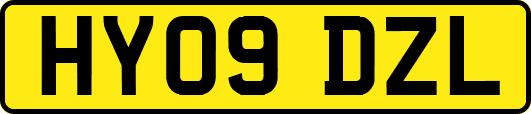 HY09DZL