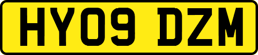 HY09DZM