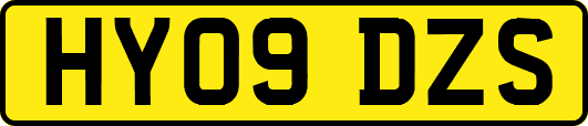 HY09DZS