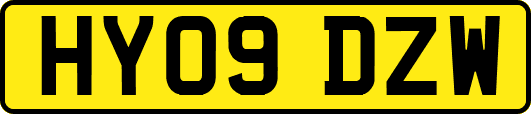 HY09DZW