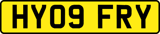 HY09FRY