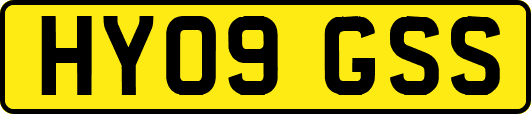 HY09GSS