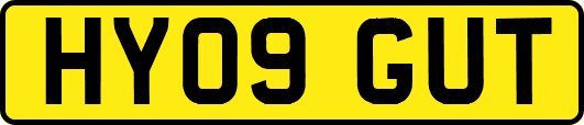 HY09GUT