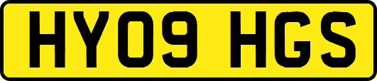HY09HGS