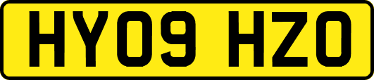 HY09HZO