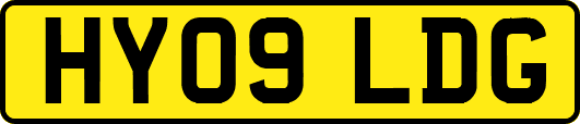 HY09LDG