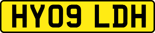 HY09LDH