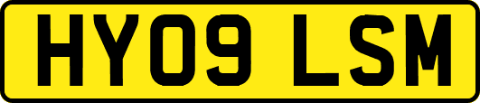 HY09LSM