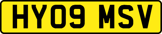 HY09MSV