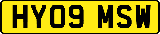 HY09MSW