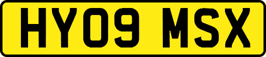 HY09MSX