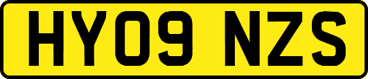 HY09NZS