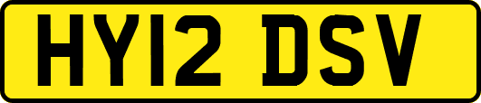 HY12DSV