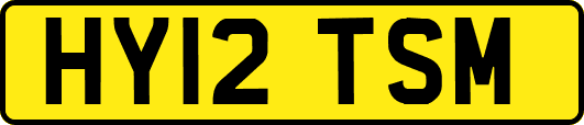 HY12TSM