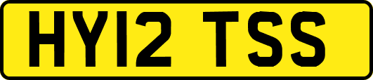 HY12TSS