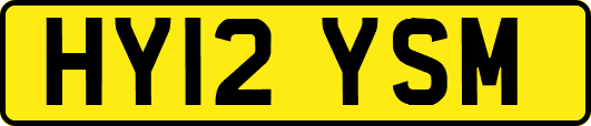 HY12YSM