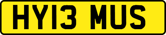 HY13MUS