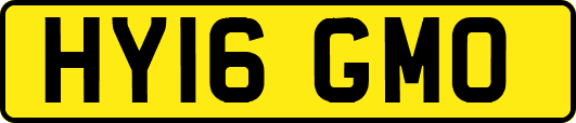 HY16GMO