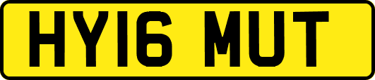 HY16MUT
