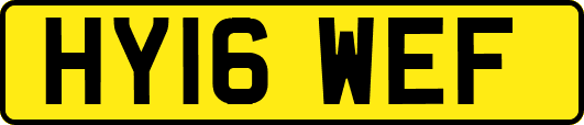 HY16WEF