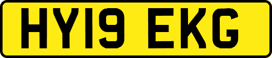 HY19EKG
