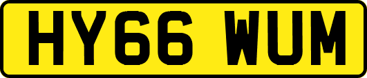 HY66WUM