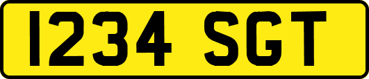 I234SGT