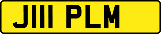 J111PLM