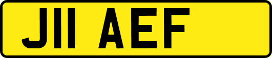 J11AEF