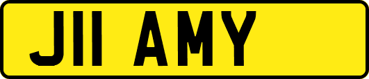 J11AMY