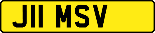 J11MSV