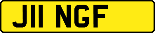 J11NGF