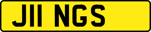 J11NGS