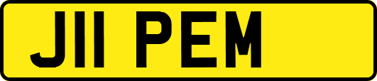 J11PEM