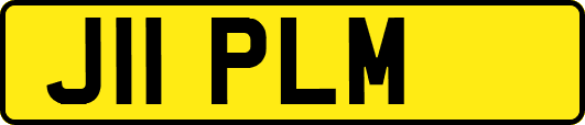 J11PLM