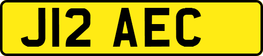J12AEC