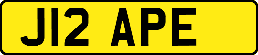 J12APE