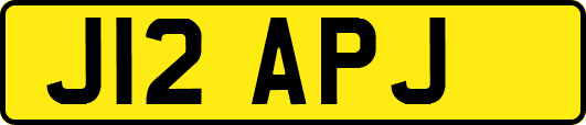 J12APJ