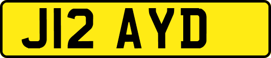 J12AYD