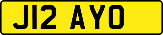 J12AYO