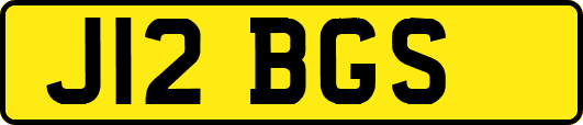 J12BGS