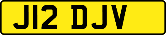 J12DJV