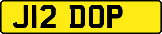 J12DOP